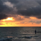 Michael Steven Platt - “Fish Wish” – www.michaelstevenplatt.com