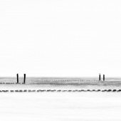 Joke De Jager - “Seabird” – www.facebook.com/deJagerFotografie