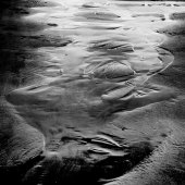 Peggy Olafson Curtis - “McKenzie Beach Tidepools” – www.peggyphoto.com