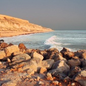 Paul John Collins - “Golden Light” – pauljohncollins.art@gmail.com