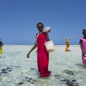 Pavlos Evangelidis - “Teamwork” – www.wantok.photos