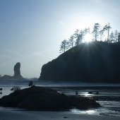 6th Place – Overall - Chuck Rutenberg - “2nd Beach, Olympic Nat\'l Park” – www.crutenbergart.com