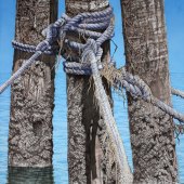 Hon. Mention – Nelson Hee - “Mooring 19” – www.nelsonhee.com