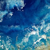 Hon. Mention - Cindy Rothery - “A Beach Somewhere” – www.instagram.com/cindylourothery.art