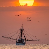 1st Place – Razvan Balotescu - “Turning into the Sun” – www.razgallery.com