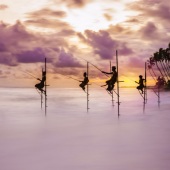 Hon. Mention - Pavlos Evangelidis - “Catch of the Day” – www.wantok.photos