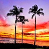 Mark De Colibus - “Three Palms” – mauimark3@aol.com