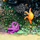 Lorri Dixon - “Friends & Anemones” – http://www.facebook.com/artbylorri