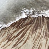 Divya Prabhakar - “Seijaku” – https://bit.ly/the-girl-who-cried-look-seascapes