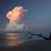 1st Place – Ronald Santini - “Morning Reflections” – www.ronald-santini.pixels.com