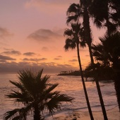 Hon. Mention - Diane Lamboley - “Mango Magic” – www.dmlimages.com