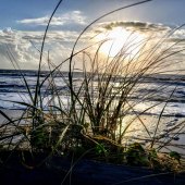 Hon. Mention - Audrey Kriss Berkowitz - “Sunrise at Kure” – www.audreykrissphotography.com