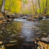 9th Place - Overall Category - J. Michael Williams - "Swirling Leaves"
