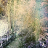 Bennett (1) Img #1  Summer Setting