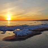 Engle (1) Img #4  Golden Cove