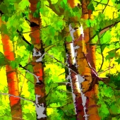 Mink (1) Img #1 Alter Grove