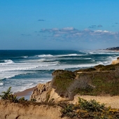 Shortt (1) Img #4 Summer Waves