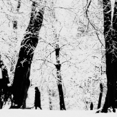 HM - Photo - Boze (1) Img #3 Winter Storm