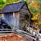 HM - Photo - Williams-M (1) Img #1 Fall at the Wheel House