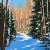 Andrews-D (1) Img #2  Snowshoe Trail