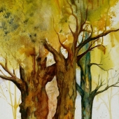 Bauerle (1) Img #2  Halsey Trees