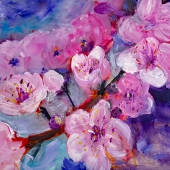 Belcher (1) Img #1 Cherry Blossoms