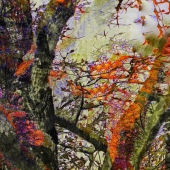 Boze (1) Img #1 Fall Breeze