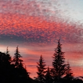 Chaykin (1) Img #1  Heat Wave