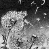 Kostenko (1) Img #1  Dandelions