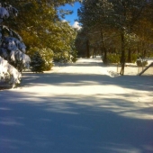 Lupo (1) Img #5 Quiet Road