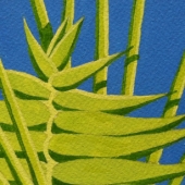 Marci (1) Img #2  Palm Flower