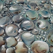 Millard (1) Img #1  Winter Drops