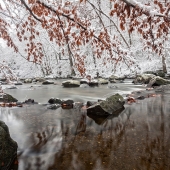 Austen (1) Img #5  Winters Hold