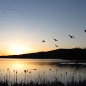 Bitar (1) Img #4 Journey