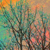 Boze (1) Img #3 Spring Sunrise