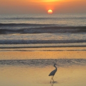 Callaghan (2) Img #2  Summer Sunrise