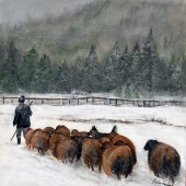 Farkas (1) Img #1  Homeward Bound