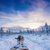 Ferru (1) Img #2  Winter Fun