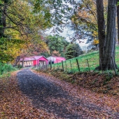 Friedkin (1) Img #2  Autumn Afternoon