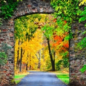 Grotz (1) Img #2 Entry to Autumn