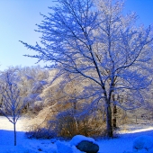 Haskell (1) Img #5  New England Winter