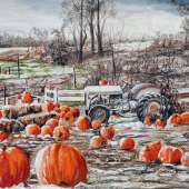 Hastings (1) Img #1  Frost on the Pumpkins