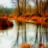 Hegland (1) Img #5 December on the Dykes