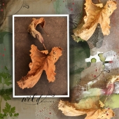 Hoskin (2) Img #1  Autumn Leaves