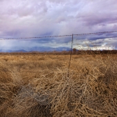 Kirk-Detberner (1) Img #1  Wilcox Winter