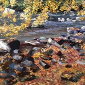 Krupičková (1) Img #1  Stvoridla in Autumn Colours