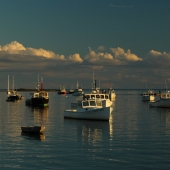 McCluskey (1) Img #1  Summer Cape Porpoise Maine