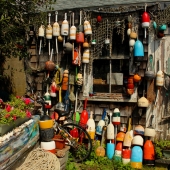 McCluskey (1) Img #4  Summer Rockport MA