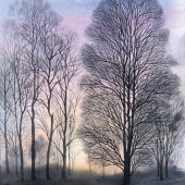 Michry (1) Img #2  Tall Trees in the Winter