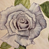 Richbow (1) Img #1  Blue Promise